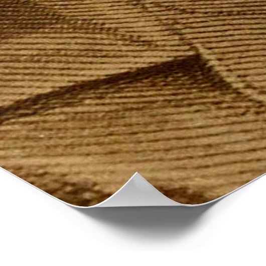 Frederick Douglass Poster (Ecke)