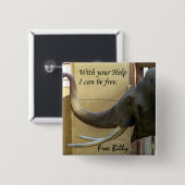 Free Billy the Elephabith_ Button (Vorne & Hinten)