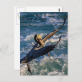 Free Bird Postkarte (Vorne/Hinten)