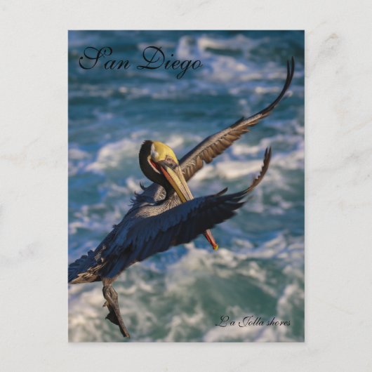 Free Bird Postkarte (Vorderseite)