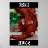 Free Hugs Borneo Orang-Utan Poster (Vorne)