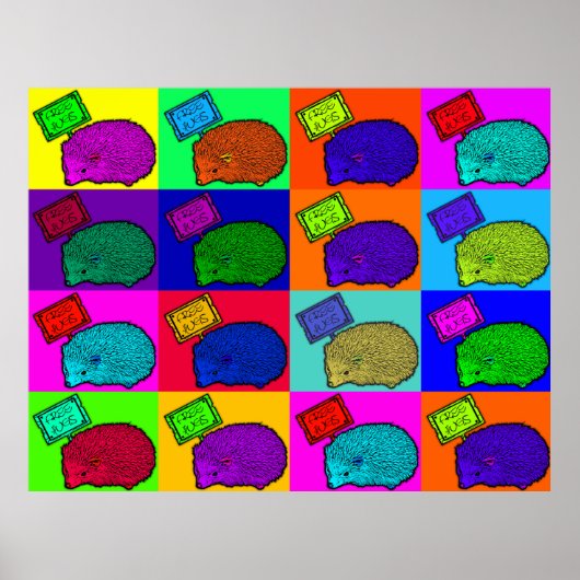 Free Hugs Igel Farbenfrohe Pop Poster (Vorne)