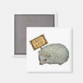 Free Hugs Igel Magnet (Vorderseite/Rückseite)