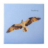 Free Osprey Art Fliese (Vorderseite)
