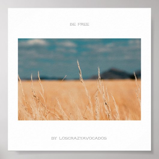 Free Savannah Golden Grass Africa Poster (Vorne)