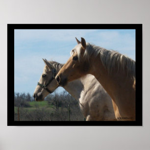 Free Spirit, Horse Lover's Poster - Groß