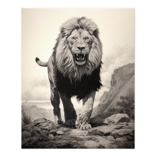 Free Spirit Lion Black and White Fotodruck
