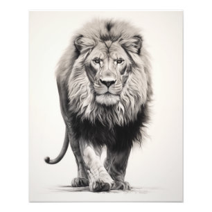 Free Spirit Lion Black and White Fotodruck