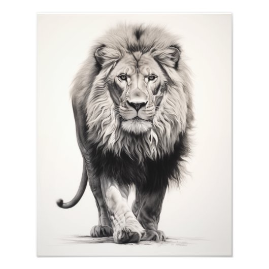 Free Spirit Lion Black and White Fotodruck (Vorne)
