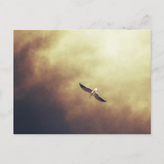 "Free Spirit" South African Wildlife Postcard Postkarte