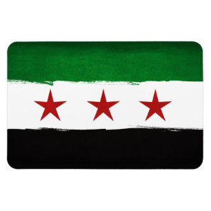 Free Syria Magnet