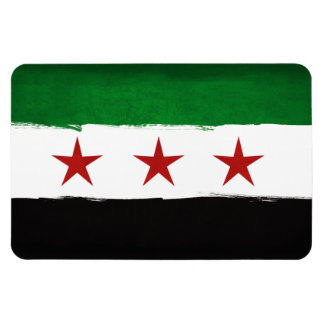 Free Syria Magnet