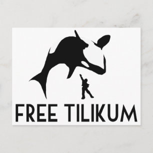 Free Tilikum Rette den Orca Killer Wal Postkarte