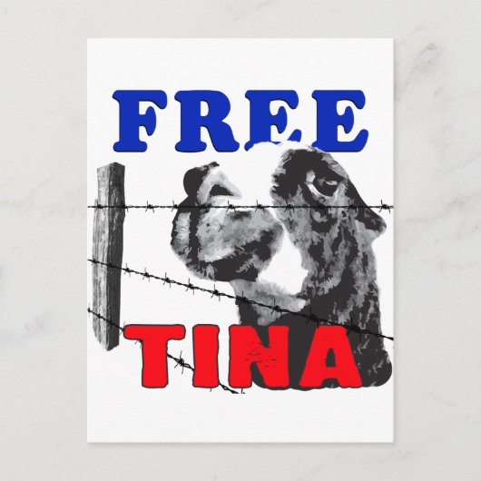 FREE TINA POSTKARTE (Vorderseite)