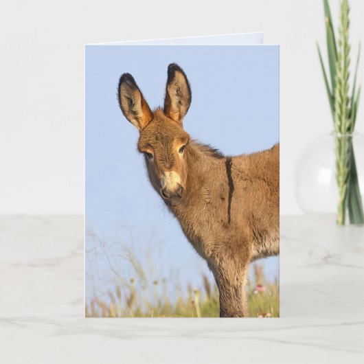 "Free to Roam" - Grußkarte Karte (Vorderseite)