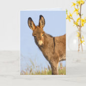 "Free to Roam" - Grußkarte Karte (Gelbe Blume)