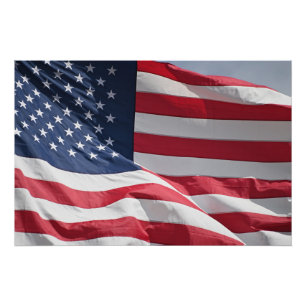 Freedom American Fahne wackelt in der Brise Poster