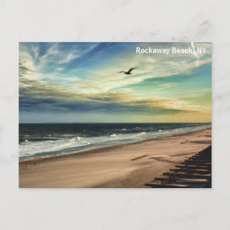 Freedom Bird Postcard Postkarte