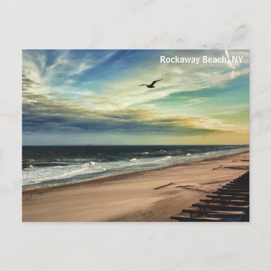 Freedom Bird Postcard Postkarte (Vorderseite)