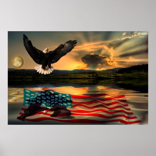 Freedom-Eagle-W-Flag-2010 Poster (Vorne)