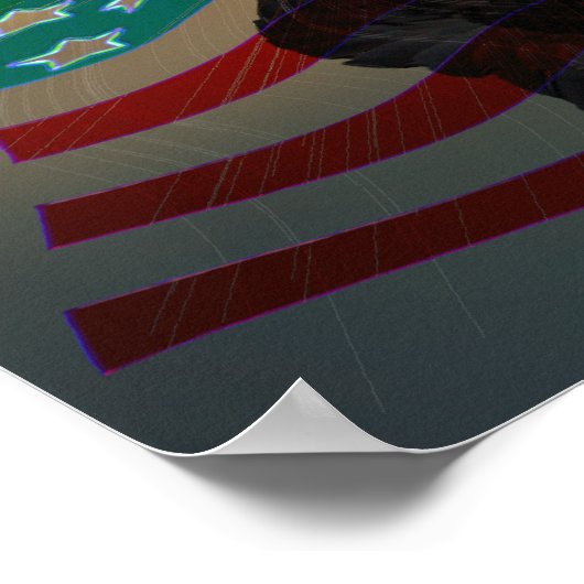 Freedom-Eagle-W-Flag-W-Star-burst-2010 Poster (Ecke)