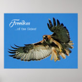 Freedom of the Skies Red-tailed Hawk Poster (Vorne)