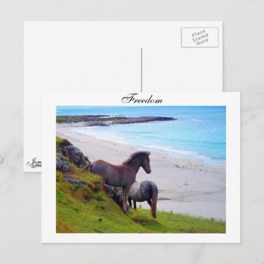 Freedom - Postcard Postkarte (Vorne/Hinten)