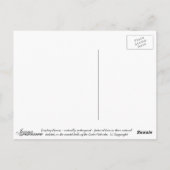 Freedom - Postcard Postkarte (Rückseite)