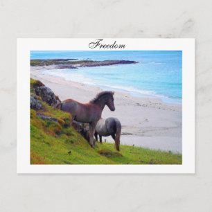 Freedom - Postcard Postkarte