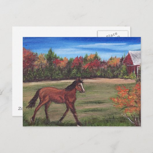 Freedom Run Postcard Postkarte (Vorne/Hinten)