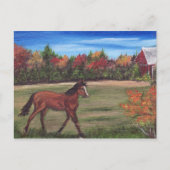 Freedom Run Postcard Postkarte (Vorderseite)