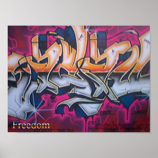 Freedom Skateboarding Poster #2