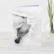 Freedom's Head Shake Wild Horse Grußkarte