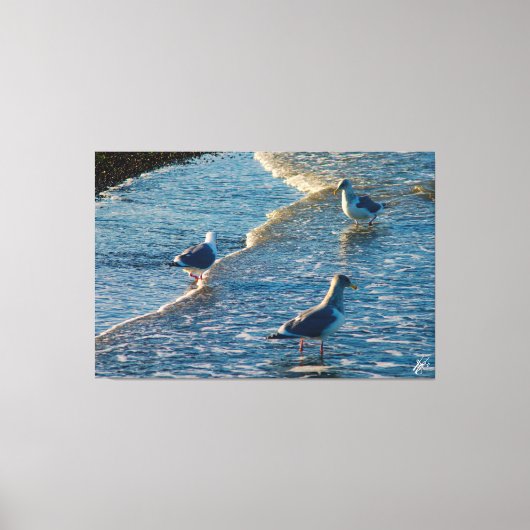 Freeland Mutiny Bay #1 Leinwanddruck (Vorderseite)