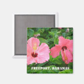 Freeport, Bahamas Magnet (Vorderseite/Rückseite)