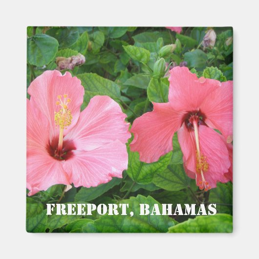 Freeport, Bahamas Magnet (Vorne)