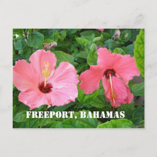 Freeport, Bahamas Postcard Postkarte