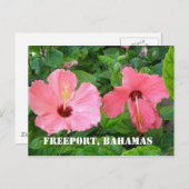 Freeport, Bahamas Postcard Postkarte (Vorne/Hinten)