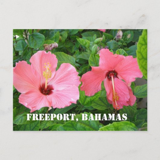 Freeport, Bahamas Postcard Postkarte (Vorderseite)