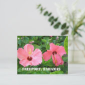 Freeport, Bahamas Postcard Postkarte (Stehend Vorderseite)