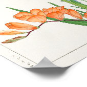 Freesia, afrikanische Lilie von Tanigami Konan Poster (Ecke)