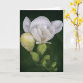 Freesia Blume Card Karte (Gelbe Blume)
