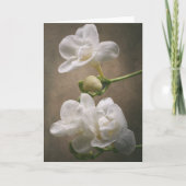 Freesia Blume Karte (Vorderseite)