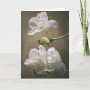 Freesia Blume Karte