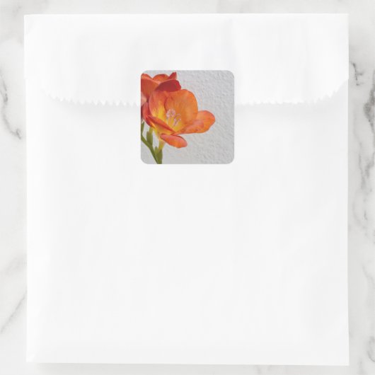 Freesia Blume Sticker mit Copyspace (Tasche)