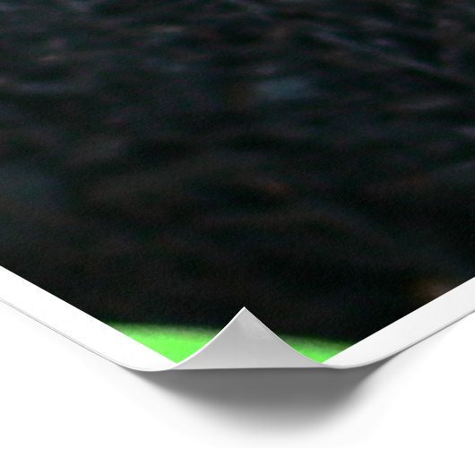 Freesia Bright Poster (Ecke)