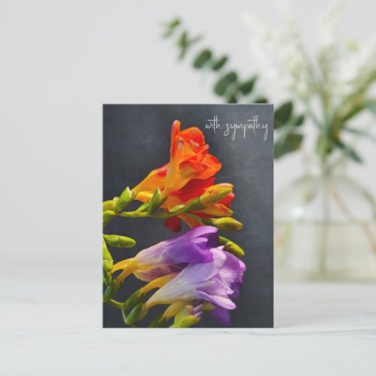 Freesia im dunklen Hintergrund. Mit Beileid Postkarte (Stehend Vorderseite)