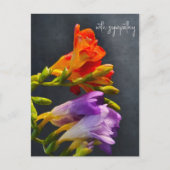 Freesia im dunklen Hintergrund. Mit Beileid Postkarte (Vorderseite)