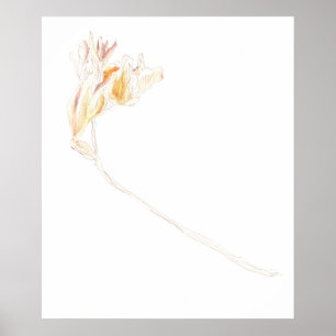 Freesia No. 3 getrocknet Poster