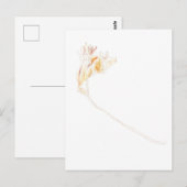 Freesia No. 3 getrocknet Postkarte (Vorne/Hinten)